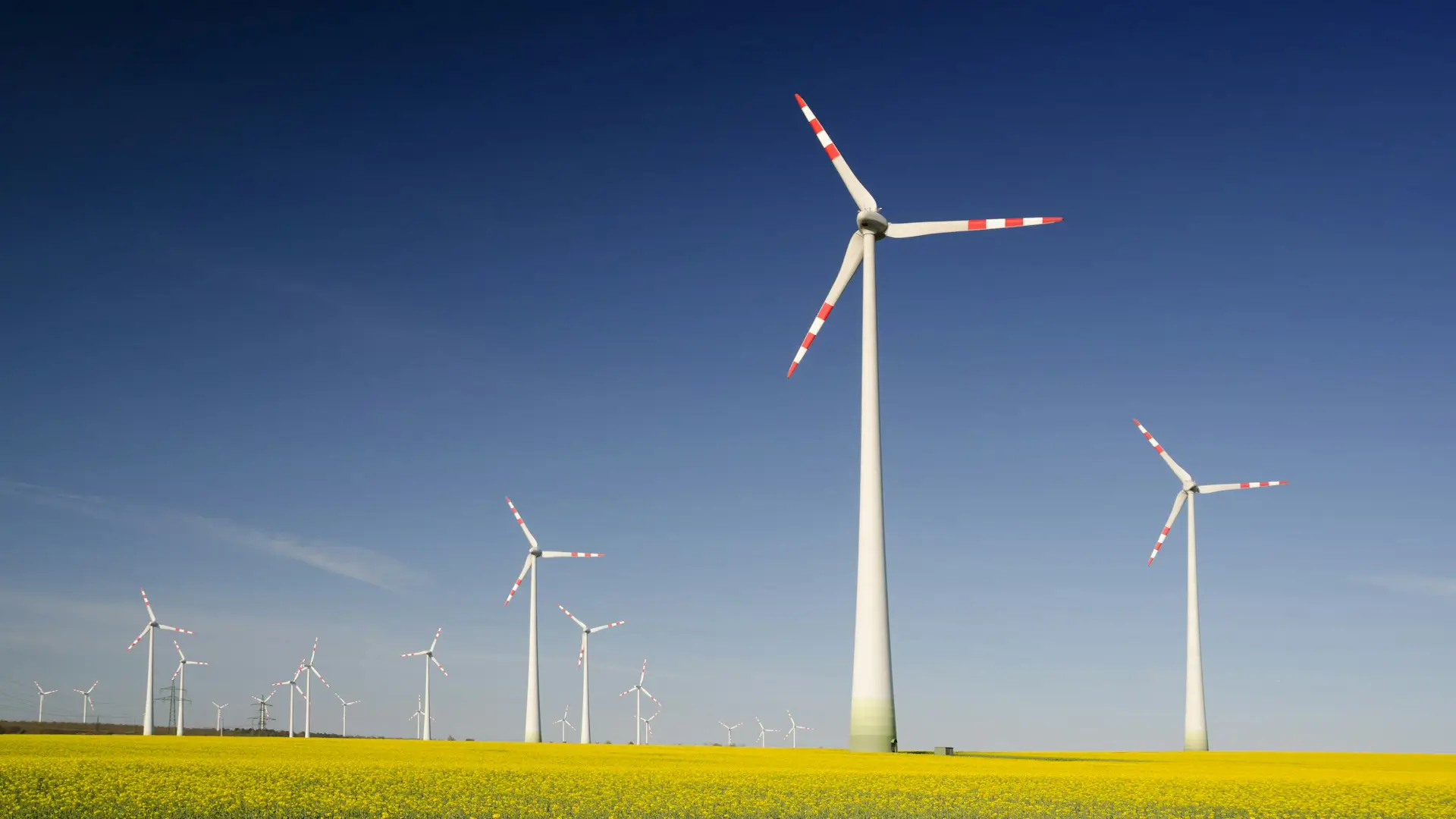 The Surge in Renewable Energy Investments